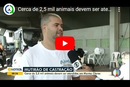 Mutirão de Castração